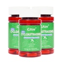 CAW Nano Cycloastragenol 10Mg | Telomerase Aktivierung Anti-Aging | Cell Rejuvenation Immunity Boost | 30 Enteric-Coated Vegetarian Kapseln (3 Flaschen)
