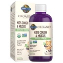 Garten des Lebens Bios Elderberry & Zink für Kinder Immununterstützung, Kinder Husten & Mucus Immunsirup mit Ivy Leaf, Vitamin C und Echinacea für Kinder, Alkoholfrei, Ohne Zusatz von Zucker, 3.92 fl oz