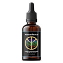 MasterPeace Nano Zeolite Drops - All Natural Detox, Liquid Formula with Ultra-Fine Clinoptilolite for Daily Wellness Support