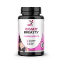 Bigger Breasts by SMS Pueraria Mirifica Supplement 500mg Root Extract Powder Veggie Capsules Promotes Women's Health, Organic Natural Herbal 60 Capsules