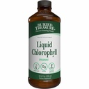 Buried Treasure Liquid Chlorophyll 100 mg Dietary Supplement, Energy Boost Immune Support Detox Intestinal Digestive Support Natural Body Deodorant Vegan Non-GMO Alcohol Free Spearmint Flavor,16 oz