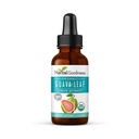 Guava Blatt Extrakt - Bio Guava Blätter - Hojas de Guayaba für Gesundheit & Wellness, Immununterstützung, Haar, Haut und Nägel Ergänzung | Non-GMO |1oz Flasche - Kräuter-Güte