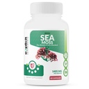 eXplicit Supplements Super Sea Moss Capsules with Bladderwrack and Burdock for Thyroid, Digestive & Joint Support - Non-GMO Irish Sea Moss Superfood - 1800mg Servings - 60 Capsules
