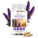 Turkesterone Capsules Pure 500mg Natural Ajuga Turkestanica Extract Ecydysterone- Increase Lean Muscle Growth & Recovery, Drive & Stamina - Non GMO - 60 V Capsules