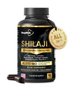 Shilajit Kapseln für Männer & Frauen, 16.000mg Pure Himalayan Organic Shilajit unterstützt Vitalität und Wellness,Premium Pure Himalayan Supplement 2 Monate Versorgung, 60 Kapseln