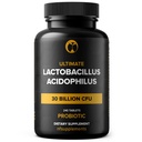 Lactobacillus Acidophilus Probiotic Supplement 30 Billion CFU 240 Tablets Probiotics for Men & Women Supports Digestive & Gut Health Vegan Friendly Gluten Free Non-GMO (240, Lactobacillus Acidophilus)