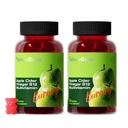 NEWELLME Sugar-Free Apple Cider Vinegar Gummies 1000mg ACV with The Mother + Vitamin B12 for Gut Health, Bloating Relief & Metabolism, Vegan Keto Gluten-Free, 120 Counts (Pack of 2)