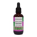 Herbalist & Alchemist Ashwagandha Extract, Calming Adaptogen/Balances Stress*, One Bottle, 2 Fluid Ounces
