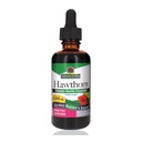 Nature's Answer Organic Hawthorn Extract 2 Oz - Low Alcohol, Gluten Free & Kosher - Herzunterstützung - Ideal für Hawthorn Berry Tea