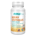 JETZT Nahrungsergänzungsmittel, BerryDophilusTM mit 2 Billion, 10 Probiotische Strains, Xylitol Sweetened, Strain Verified, 60 Chewables, Verpackung kann variieren