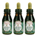 3 Bottle Pack - Apiario Silvestre Brazilian Bee Pollen and Green Propolis, Glycolic Solution, 30ml, Alcohol-Free, Since 1982
