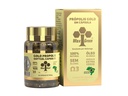 6 Bottles of Wax Green Bee Propolis N91 Gold Capsules 500mg (90 Capsules)