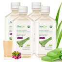 AloeCure USDA Organic Aloe Vera Juice Grape Flavor, Hergestellt innerhalb von 12 Stunden Ernte - Pure Aloe Vera Verdauungs- und Immungesundheitsergänzung, hilft Balanced Stomach Acidity, 16.7oz x 4 Btls