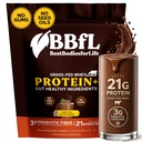 BBfL Grass-Fed Whey Protein Shake – 21g rBGH-Free Protein, Cocoa + Apple Cider Vinegar, Prebiotics, Digestive Enzymes, Supports Gut Health – All-in-One Shake for Women & Men (15 Servings, Cocoa Cream)