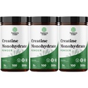 Micronized Creatine Monohydrate Powder for Men & Women - Pre & Post Workout Pure Creatine for Women & Men for Muscle Growth & Recovery - Raw Unflavored Nutritional Supplements for Muscle Gain - 3Pack