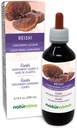 Naturalma Reishi (Ganoderma lucidum) Pilz oder Pilz Alkoholfreie Tinktur - 6.76 fl oz Flüssiger Extrakt in Tropfen - Kräuterergänzung - Vegan