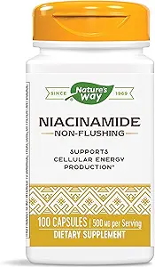 Nature's Way Niacinamide 500mg - 100 Kapseln (4 Packung)