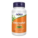 JETZT Lebensmittel Chlorophyll 100 mg Kapseln, 90 ct