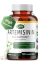 LIIFE Artemisinin (from Sweet Wormwood) with Bioperine, 100mg — Supports Immune System, Cellular Health, and Enhanced Absorption, Non-GMO, 120 Vegetarian Capsules