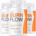 Dietary Supplement (3 Pack) Burn Flow Capsules - Official Burn Flow Loss Capsules Premium Supplement Support Healthy Digestion, BurnFlow Pills Advanced Formula for Overall Health & Wellness