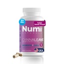 Neurofix+Chill - Dopamine & Serotonin Support for Mental Clarity During Breaks - Made in USA at NSF Certified Facility - 60 Vegan Caps