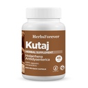 Herbsforever Kutaja Capsules Holarrhena Antidysenterica Digestion Care 45 Vege Capsules 800 Mg Each