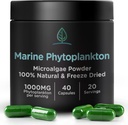 Marine Phytoplankton Kapseln von Holistic Bin | Natürlich in Nordic Seawater | Vegan Omega 3 Supplement | Reich an Aminosäuren, Chlorophyll, Vitamine, & Trace Minerals