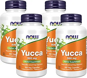 JETZT Ergänzungen, Yucca (Yucca spp.) 500 mg, 4:1 Konzentrat, Kräuterergänzung, 100 Kapseln (Pack von 4)