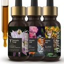 Fantastic Fungi Mushroom Elixir Bundle with Cordyceps, Reishi, Lion’s Mane, Chaga, Turkey Tail, Shiitake, Maitake, Tremella, Elderberries, Astragalus, Horsetail, and Acerola