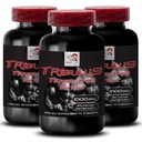 Energy Boost - TRIBULUS TERRESTRIS EXTRACT - Strength Activation, Dynamic Muscle Support, Stamina Recharge, Active Power, Physical Endurance, Body Power, Performance Support 3 Bottles 270 Tablets