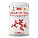 ANDREW LESSMAN Creatine 5000 Micronized Creatine Monohydrate. 120 Servings. Cellular Energy Muscle Strength & Growth. Brain Memory Cognition Athletic Performance. No Additives. Ultra-Pure Powder.