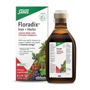 Floradix Iron & Herbs - Flüssige Kräuter-Ergänzung für Energieunterstützung - Eisen-Ergänzung mit Vitamin C & Vitamin B-Komplex - für Männer & Frauen - 8,5 fl oz