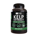 Pure Original Zutaten Kelp-Extrakt (365 Kapseln) Kein Magnesium oder Reisfüller, Immer rein, Lab Verifiziert