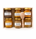 Wellness Seamoss Gel Variety Pack – 6 Mini Hydration & Energy Blends with Wooden Honey Dipper – Coconut Coffee, Mango Coconut, Peach Pineapple & More