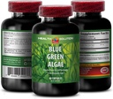 Blue Green Algae Superfood - Blue Green Algae - Blau Grün Algae für Immunität - Klamath Shores Blue Green Algae, Verdauungsergänzung, Immununterstützungsergänzung, Blau Grün Algae Pulver, 1b 60 Caps