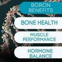 Bor Mineralische Ergänzung - 30mg | 60 Count | Trace Minerals Ihr Körper braucht, um optimale Gesundheit und Wellness zu erhalten.
