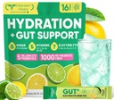 Venture Pal 2-in-1 Hydration Packets + Gut Health Electrolytes Powder - 7 Electrolytes & 5 Vitamins, Probiotics - Sugar Free Liquid Daily IV Drink Mix for Dehydration Relief | Non-GMO | 16 Sticks