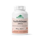 PROVITA Nattokinase Supplement 2000 FU | 100mg | 60 Capsules | Supports Heart & Cardiovascular Health | Blood Circulation & Vascular Support | Non-GMO | Made in GMP-Compliance Facility