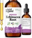 Wild & Organic Echinacea Tincture - Immununterstützung Tropfen mit flüssigem Echinacea Root Extract - Angustifolia Ergänzungen - Vegan, Zucker & Alkoholfrei - 2 fl oz