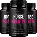 Valdivia (3 Pack) Horse Gelatin Capsules - Official HorseGelatin Supplement, Premium Formula, Natural Vitamins for Health & Wellness - 180 Capsules for 3 Months