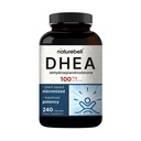 NatureBell DHEA 100mg - 240 Kapseln - DHEA-Ergänzung für Energieniveaus, Immun-Gesundheitsunterstützung - Hochverfügbar* - Nicht-GMO & Glutenfrei