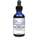 Energetix Core Olivenblatt (2 oz.)