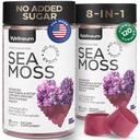 Multimineral Sea Moss Gummis 3000 Mg mit Probiotic, Bladderwrack, Black Seed Oil, Ashwagandha, Burdock Root (2 Pack) - Irish Seamoss for Immunity, Thyroid and Gut Health - Vegan, Sugar Free