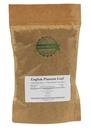 English Plantain Leaf - Plantago Lanceolata L - Herbal Tea (100g)