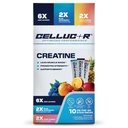 Cellucor Creatine Stick Pack Variety Pack, Unflavored, Blue Raspberry, and Fruit Punch Flavors - Supports Strength, Muscle Growth, Recovery & Brain Function 5g -Creatine per Serving, 10 Servings