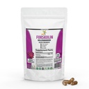 Pure Forskolin Extrakt Ergänzung mit Potent Coleus Forskohlii 20% Standardisiert 1.000 mg für Enhanced Energy - pflanzenbasierte Energie Beilagen für Frauen und Männer - 100 Veggie Kapseln