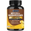 DRFOSTER Lions Mane Supplement Capsules - MYCO3+ Mushrooms with Cordyceps, Reishi & Ginkgo Biloba for Brain & Energy - 120 Caps