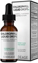 Codeage Chlorophyll Liquid Drops Supplement - Vegan Chlorophyll 50 mg pro Servieren, Organische Pfefferminz Flavor Clorofila Drink - Non-GMO, Gluten-Free, Vegan - 2 fl oz