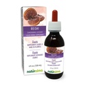 Naturalma Reishi (Ganoderma lucidum) Pilz oder Pilz Alkoholfreie Tinktur - 4 fl oz Flüssiger Extrakt in Tropfen - Kräuterergänzung - Vegan