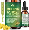 (2 Pack) 6 In 1 Mullein Tropfen für Lunge, Bio Mullein Blatt Extrakt Tinktur für Lunge, Detox Cleanse & Respirator für Atmungsgesundheit, Mullein Oil Supplement Immununterstützung, Vegan, 1 Fl Oz